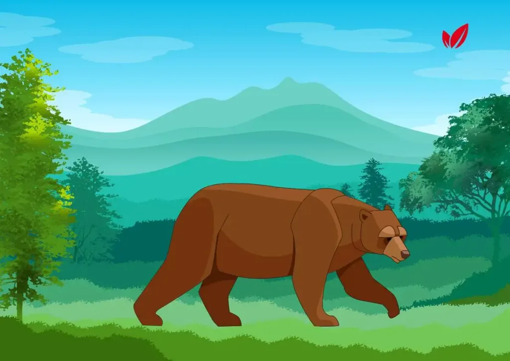 How the Bear Lost His Tail